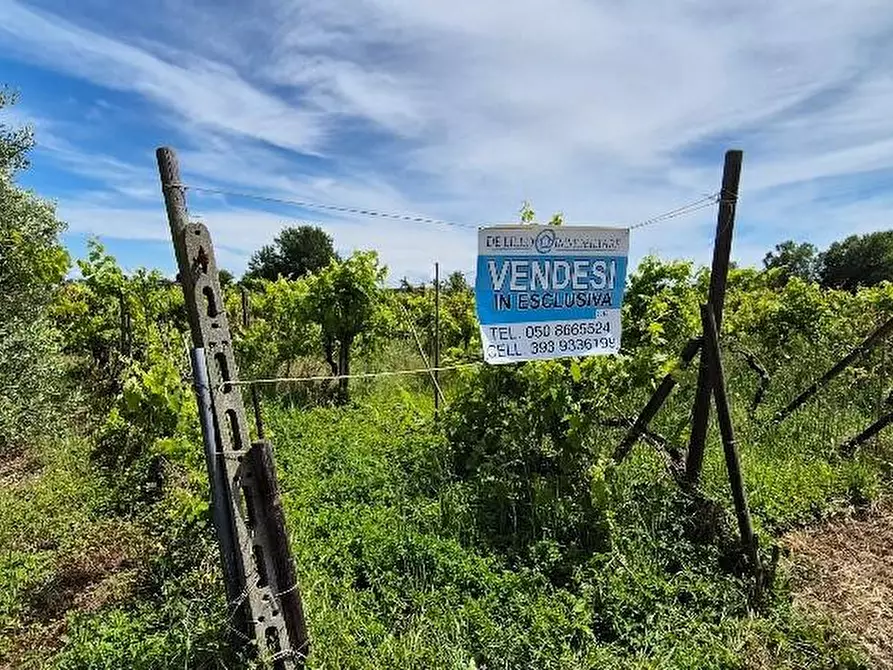 Immagine 18 di Terreno agricolo in vendita  a Cascina