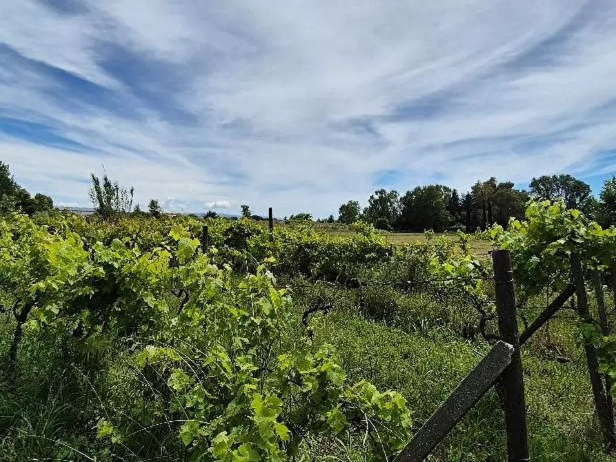 Immagine 13 di Terreno agricolo in vendita  a Cascina