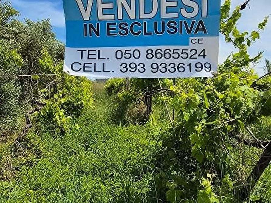 Immagine 19 di Terreno agricolo in vendita  a Cascina
