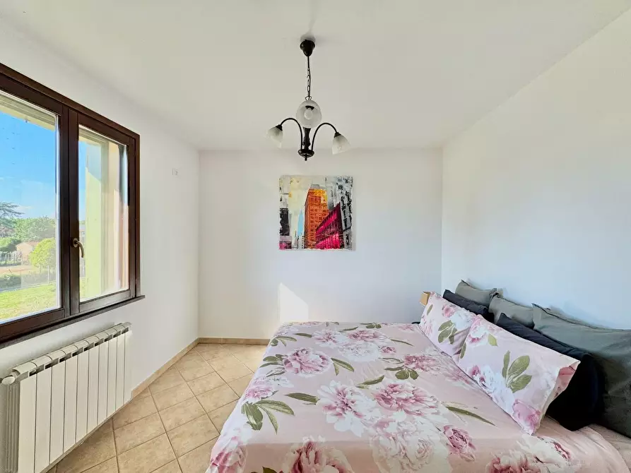 Immagine 25 di Appartamento in vendita  a Terricciola