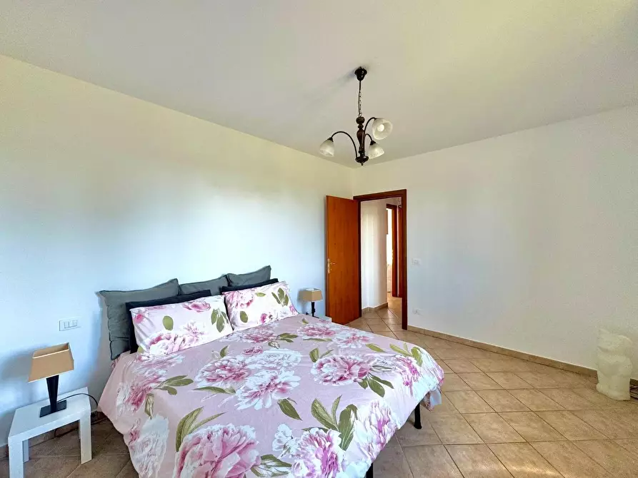 Immagine 28 di Appartamento in vendita  a Terricciola