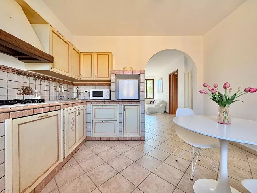 Immagine 19 di Appartamento in vendita  a Terricciola