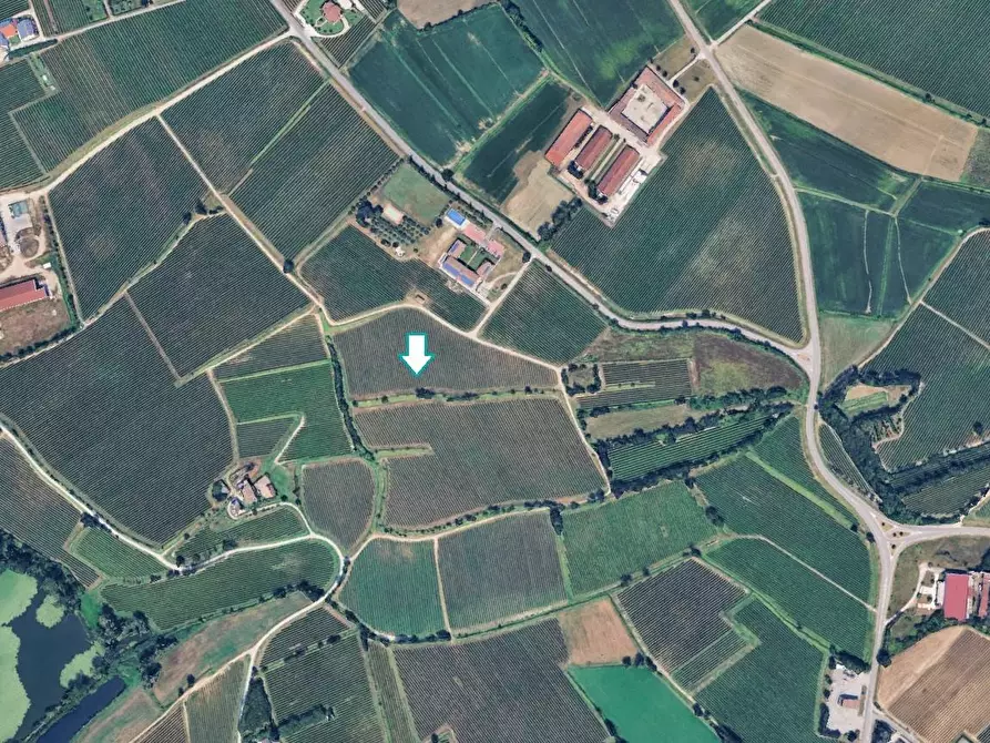Immagine 1 di Terreno agricolo in vendita  a Pozzolengo
