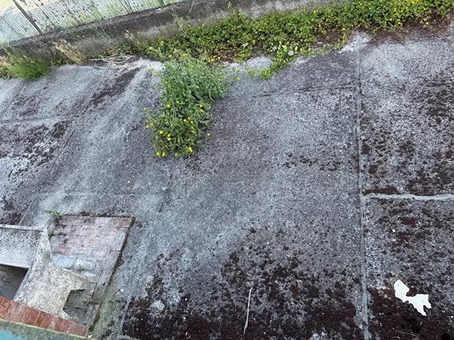 Immagine 2 di Appartamento in vendita  a Castelnuovo Magra