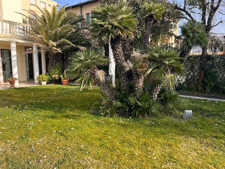 Immagine 2 di Appartamento in vendita  a Viareggio