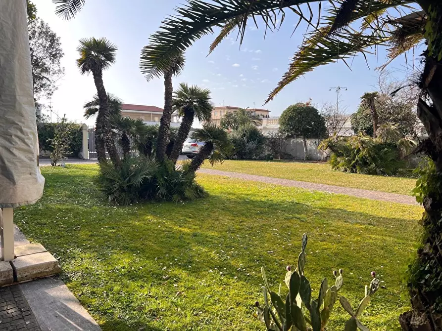 Immagine 12 di Appartamento in vendita  a Viareggio