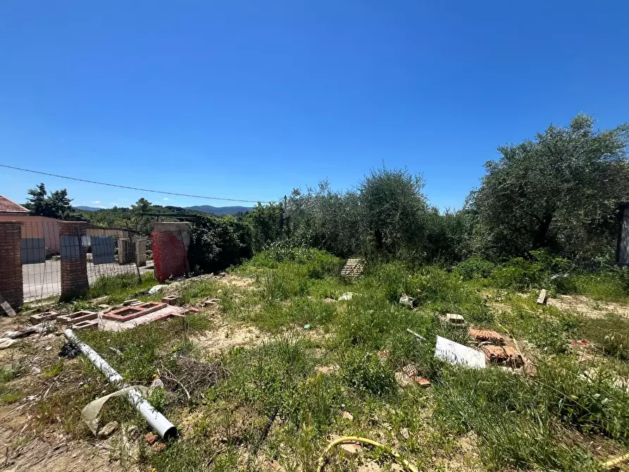 Immagine 15 di Rustico / casale in vendita  a Terricciola