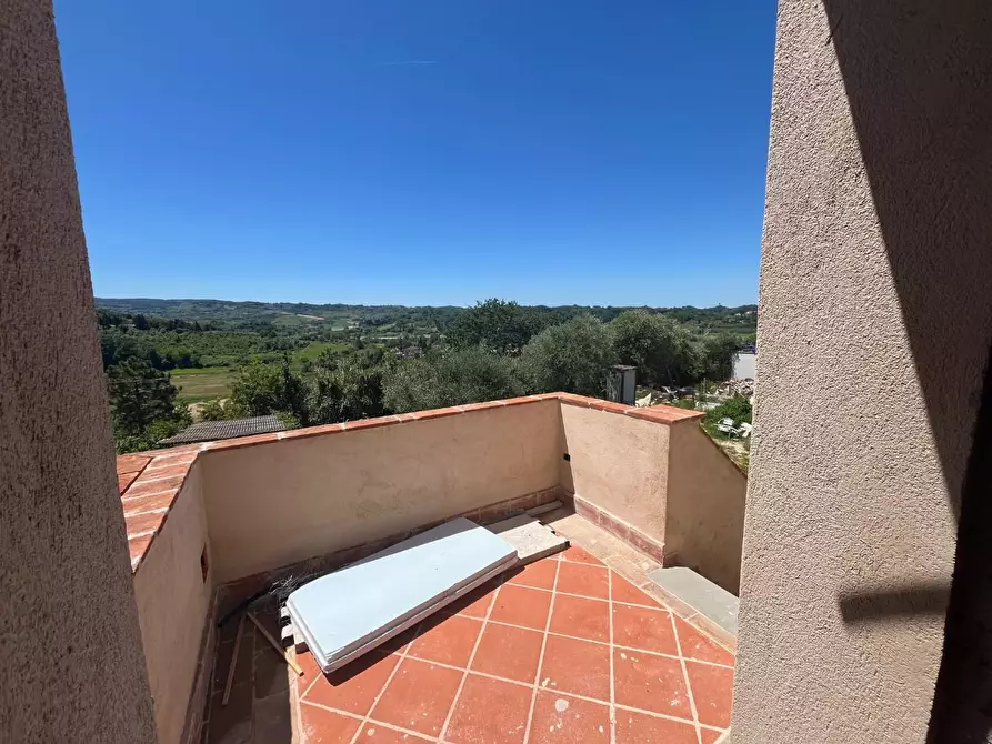 Immagine 14 di Rustico / casale in vendita  a Terricciola