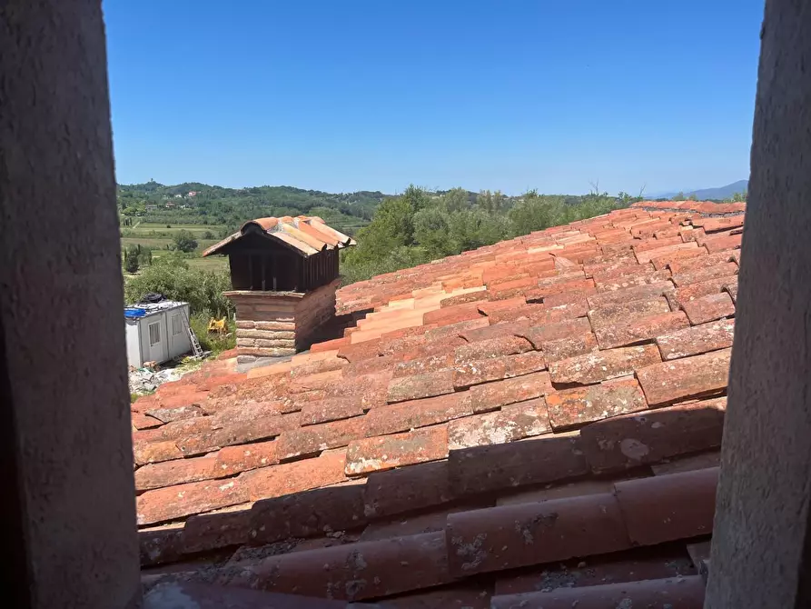 Immagine 3 di Rustico / casale in vendita  a Terricciola