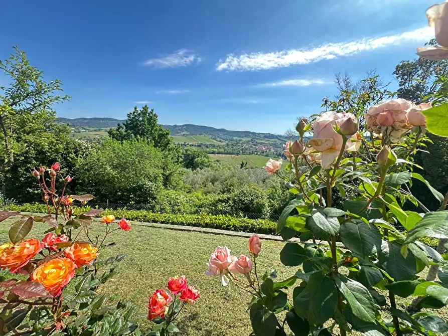 Immagine 33 di Terratetto in vendita  a Montespertoli