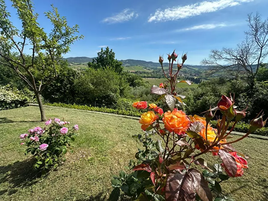 Immagine 13 di Terratetto in vendita  a Montespertoli