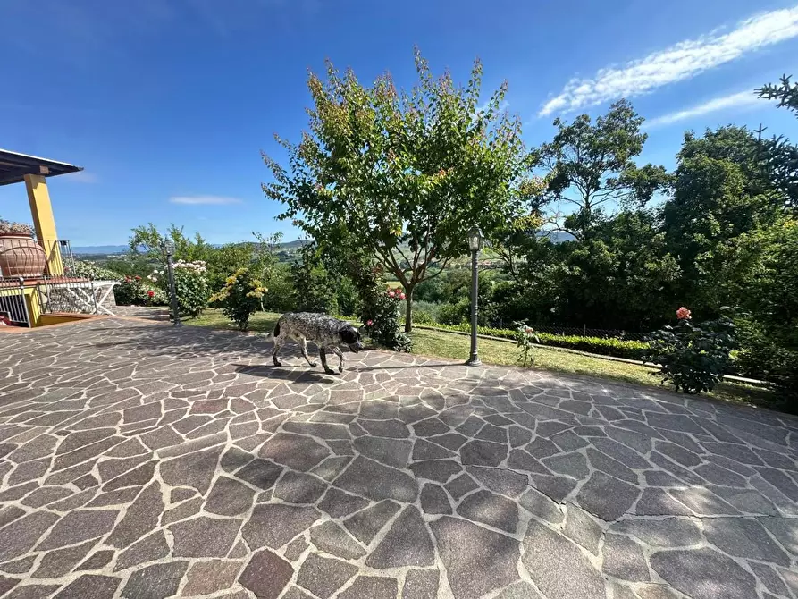 Immagine 38 di Terratetto in vendita  a Montespertoli