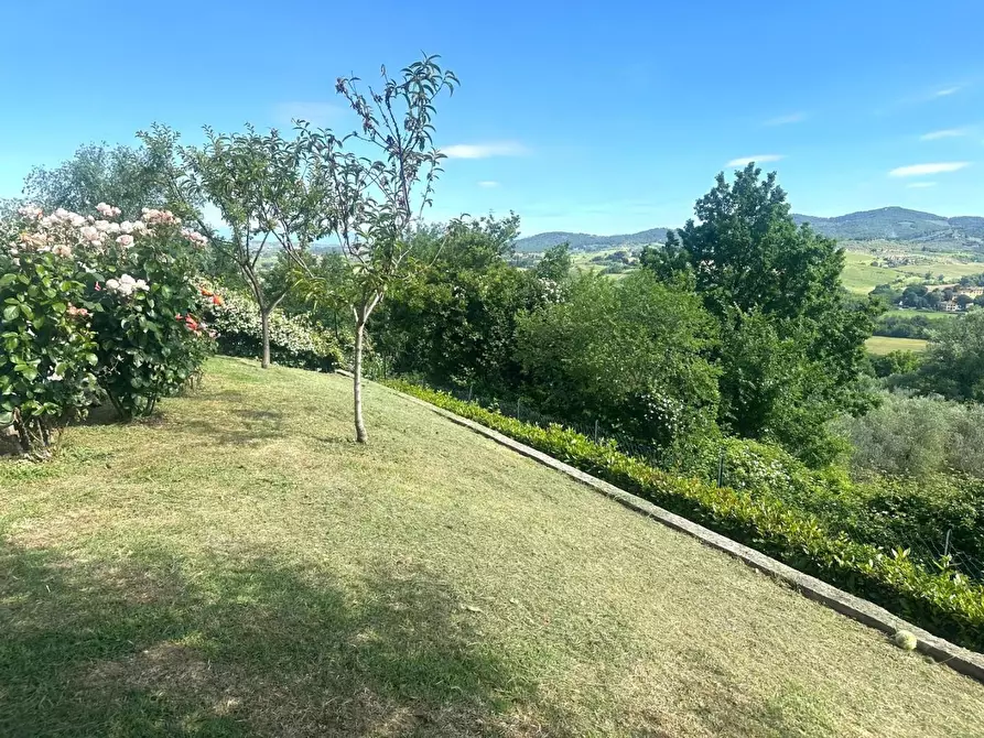 Immagine 5 di Terratetto in vendita  a Montespertoli