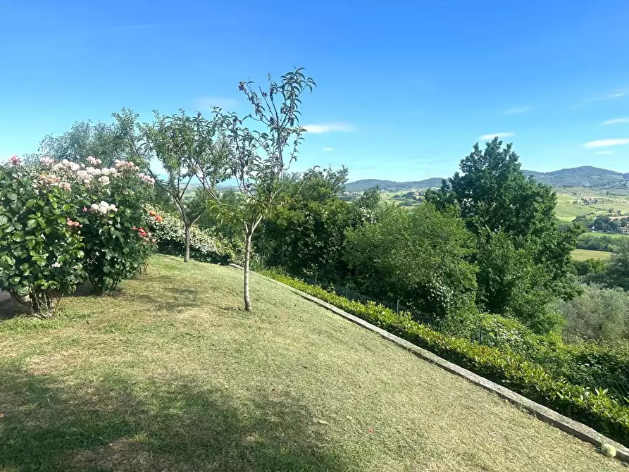 Immagine 14 di Terratetto in vendita  a Montespertoli