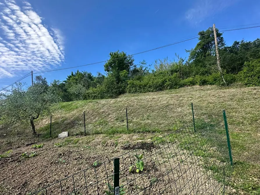 Immagine 10 di Terratetto in vendita  a Montespertoli