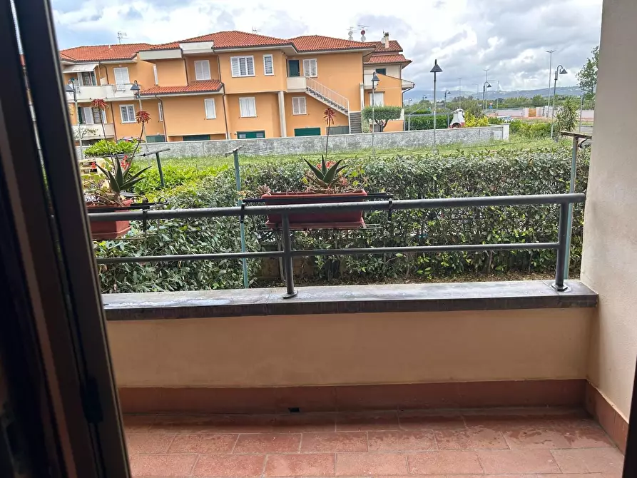 Immagine 19 di Villetta a schiera in affitto  a Rosignano Marittimo