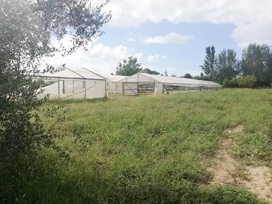 Immagine 7 di Casa indipendente in vendita  a Pietrasanta