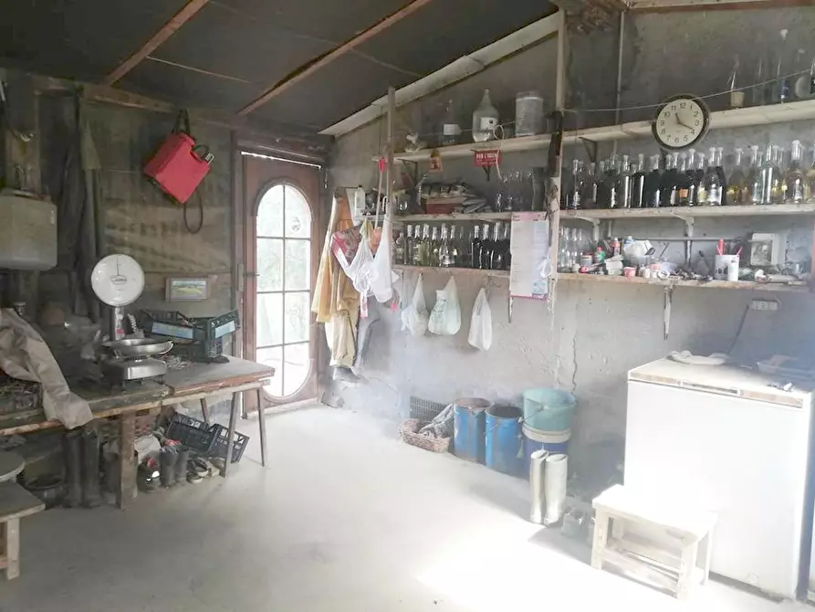 Immagine 22 di Casa indipendente in vendita  a Pietrasanta