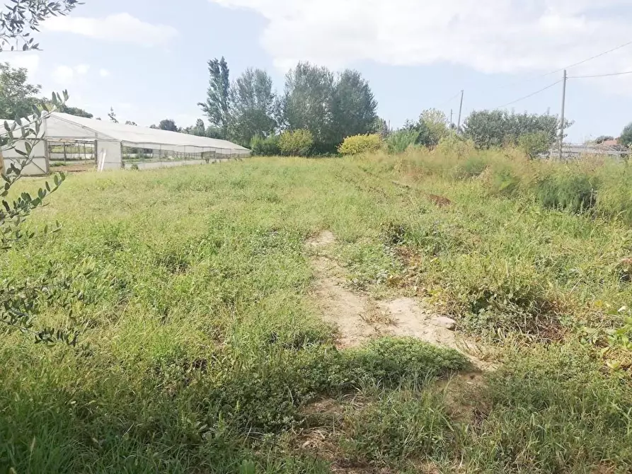Immagine 6 di Casa indipendente in vendita  a Pietrasanta