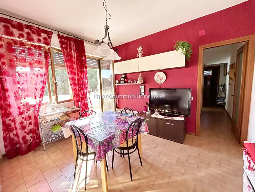 Immagine 4 di Appartamento in vendita  a Rosignano Marittimo