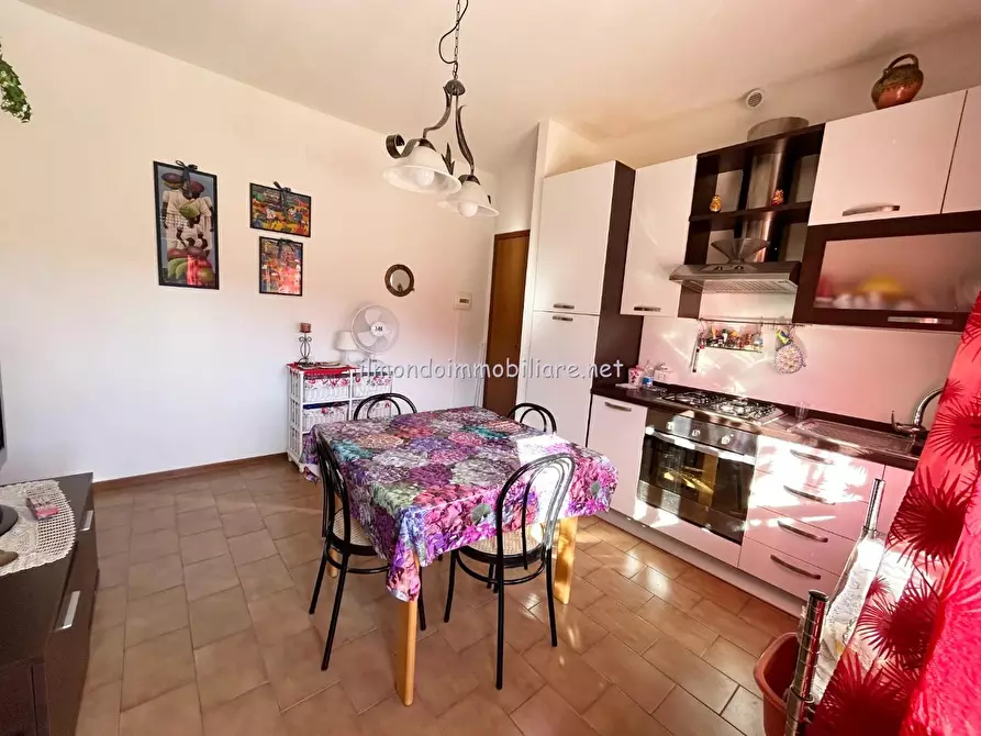 Immagine 3 di Appartamento in vendita  a Rosignano Marittimo