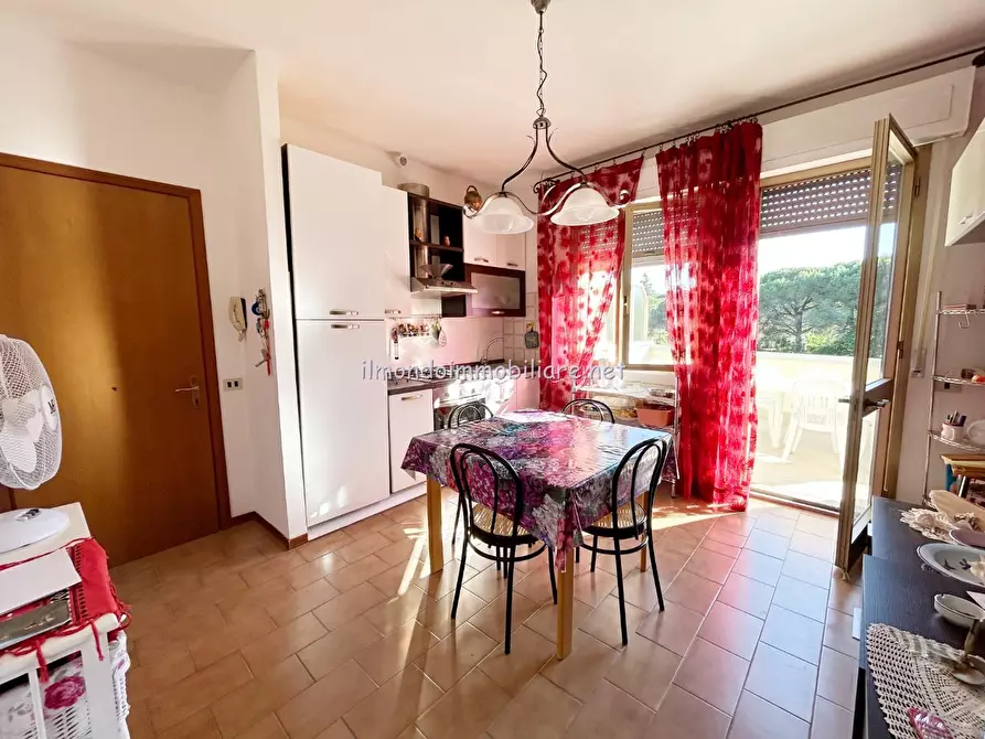 Immagine 6 di Appartamento in vendita  a Rosignano Marittimo