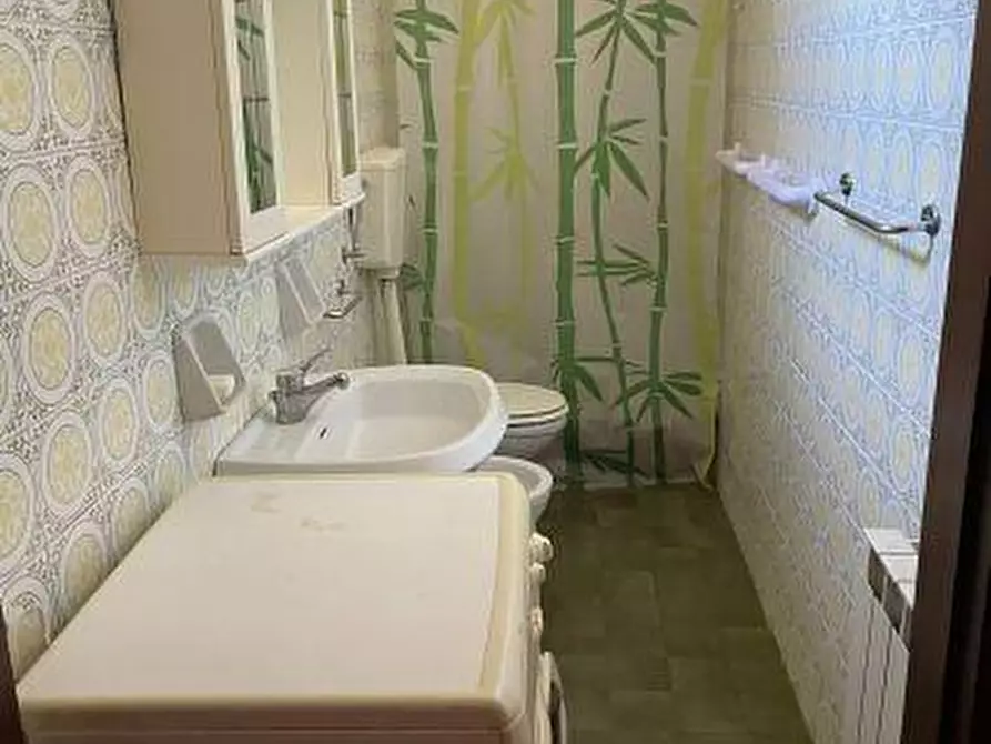 Immagine 15 di Casa semindipendente in vendita  a Arcola