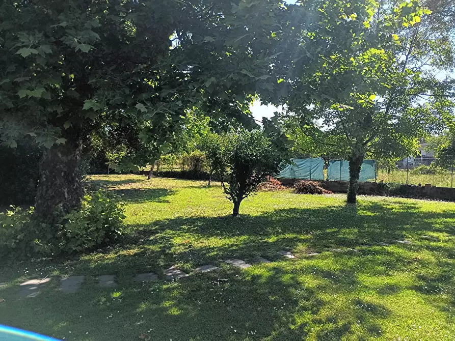 Immagine 5 di Casa indipendente in vendita  a Massa