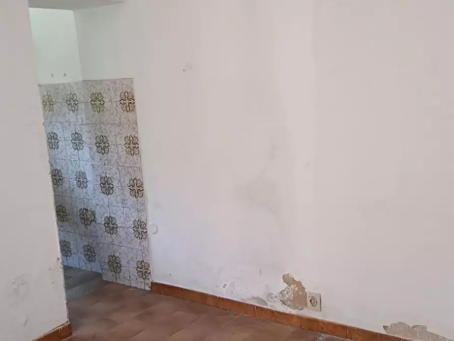 Immagine 4 di Terratetto in vendita  a Vecchiano