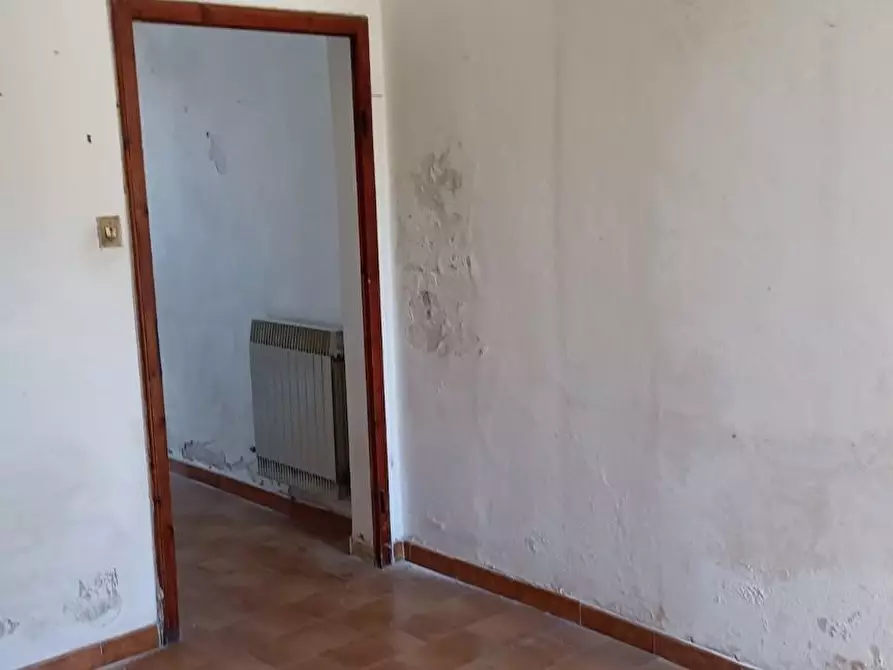 Immagine 5 di Terratetto in vendita  a Vecchiano