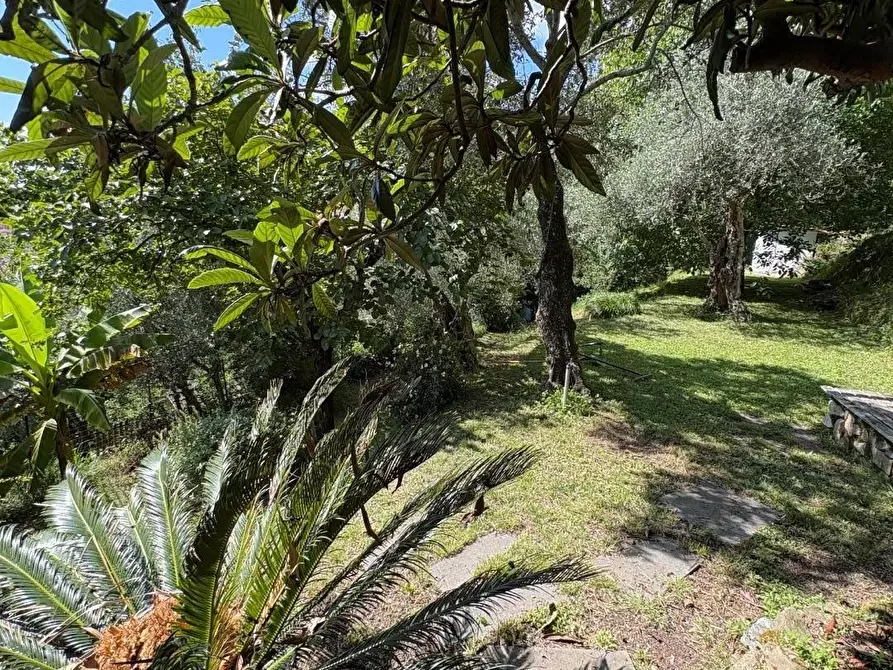 Immagine 18 di Casa semindipendente in vendita  a Massa