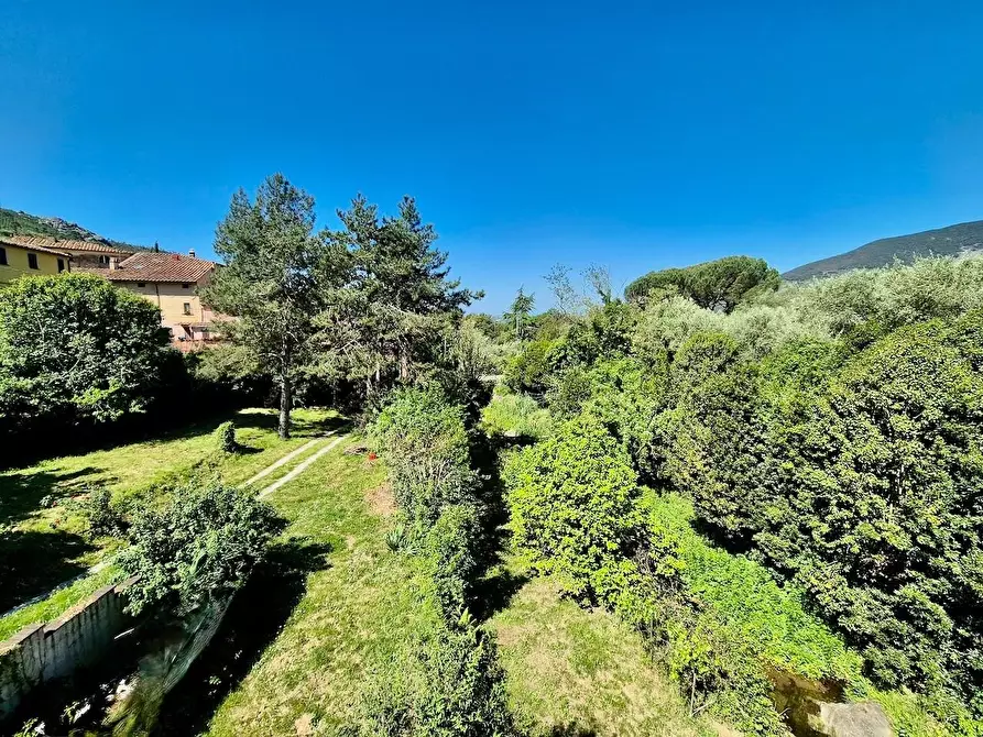 Immagine 43 di Rustico / casale in vendita  a Calci