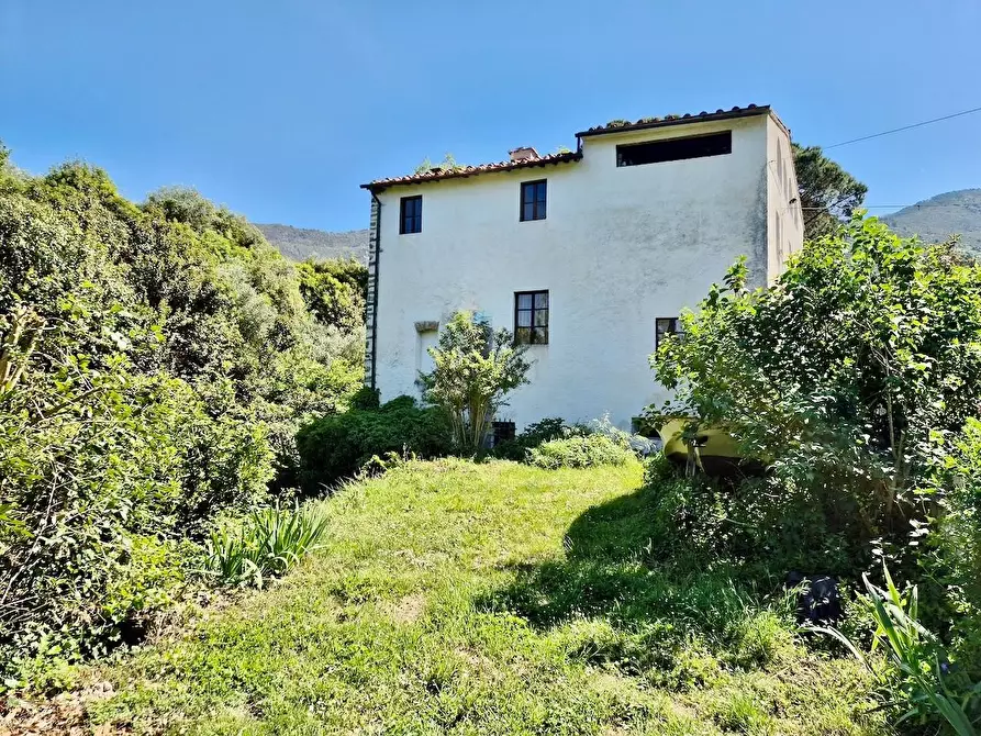 Immagine 5 di Rustico / casale in vendita  a Calci
