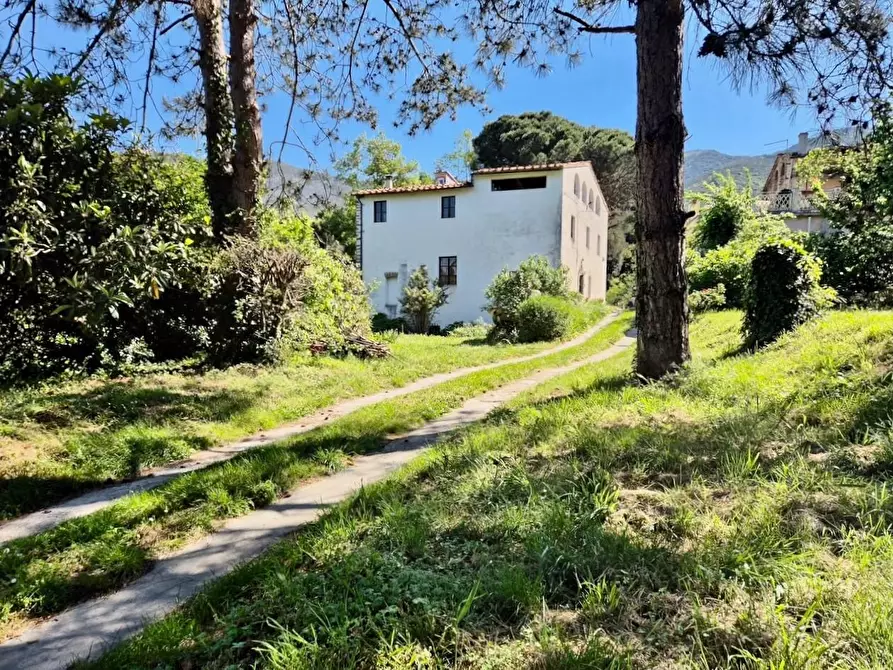 Immagine 6 di Rustico / casale in vendita  a Calci