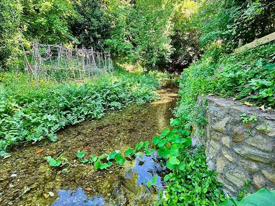 Immagine 20 di Rustico / casale in vendita  a Calci