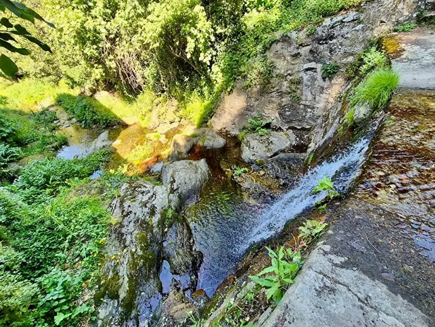 Immagine 19 di Rustico / casale in vendita  a Calci