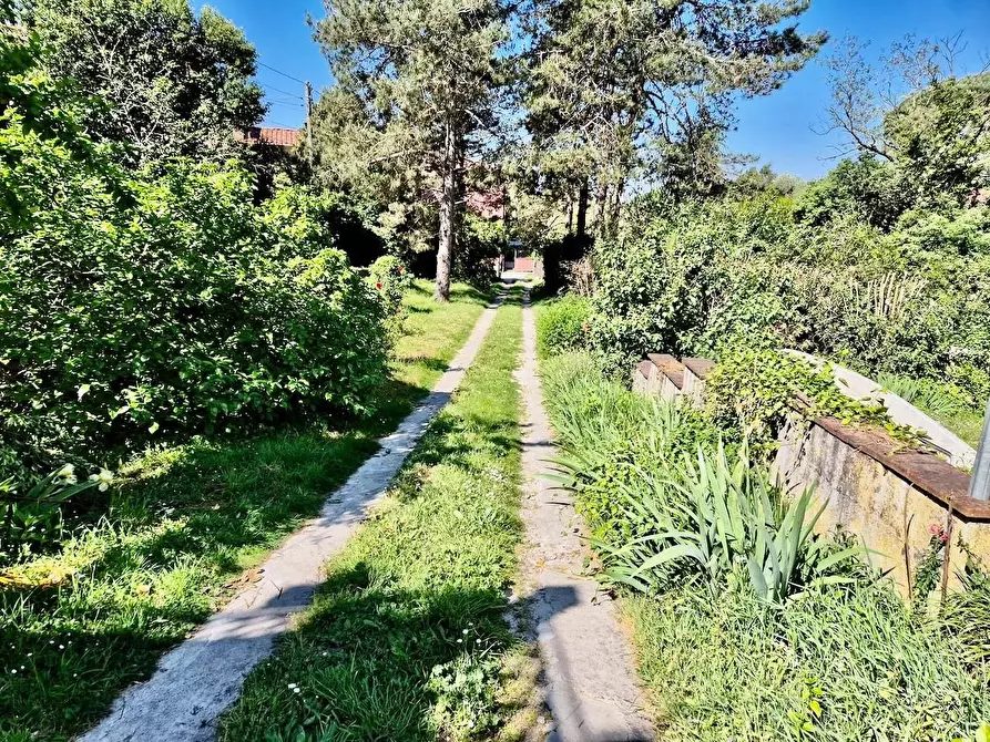 Immagine 4 di Rustico / casale in vendita  a Calci