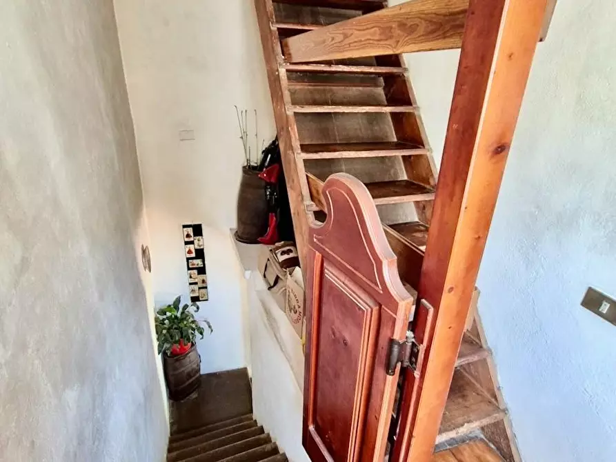 Immagine 48 di Rustico / casale in vendita  a Calci
