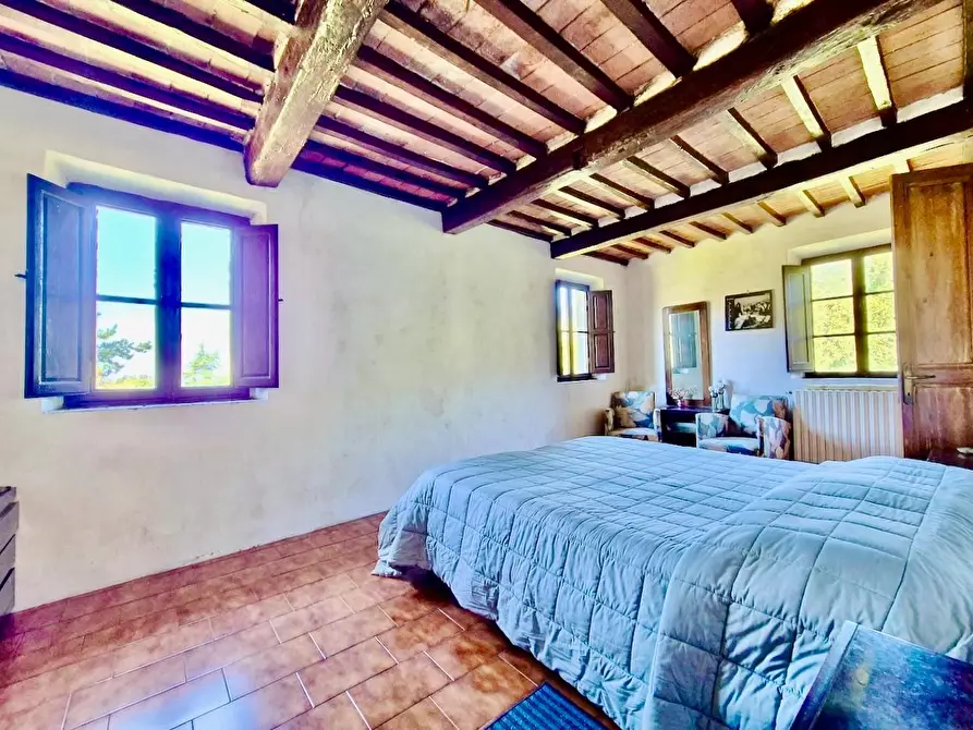 Immagine 42 di Rustico / casale in vendita  a Calci