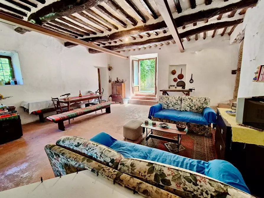 Immagine 14 di Rustico / casale in vendita  a Calci