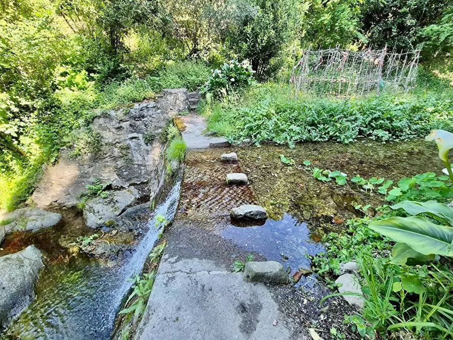 Immagine 21 di Rustico / casale in vendita  a Calci