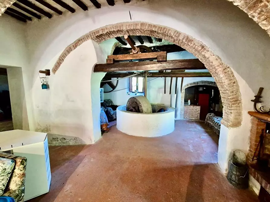 Immagine 9 di Rustico / casale in vendita  a Calci