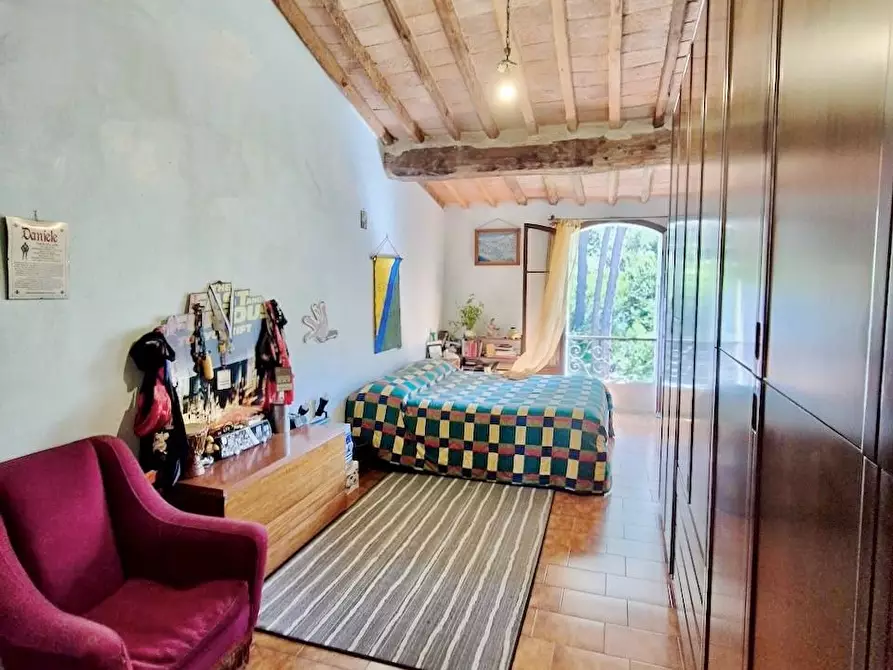 Immagine 39 di Rustico / casale in vendita  a Calci
