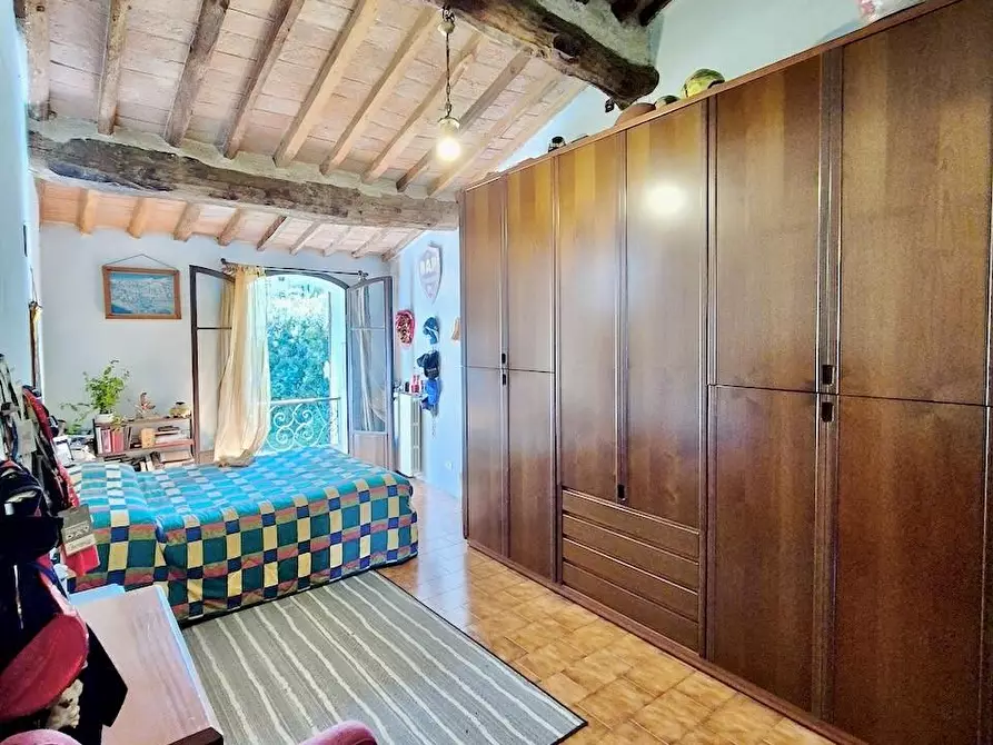 Immagine 38 di Rustico / casale in vendita  a Calci