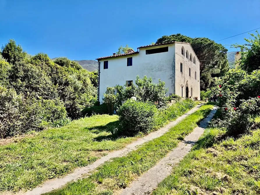 Immagine 7 di Rustico / casale in vendita  a Calci
