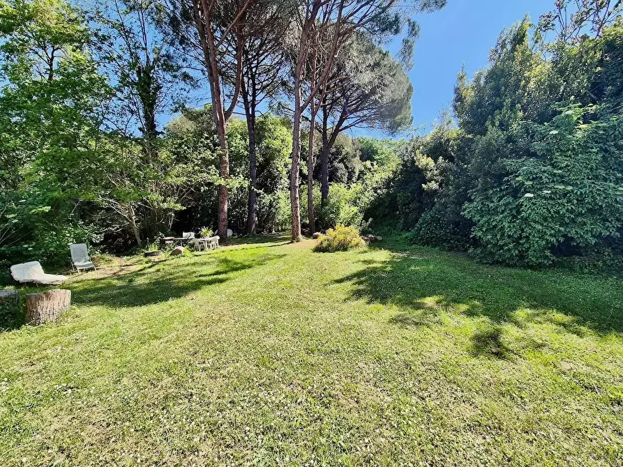 Immagine 3 di Rustico / casale in vendita  a Calci