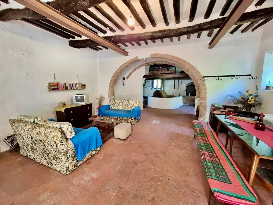 Immagine 8 di Rustico / casale in vendita  a Calci