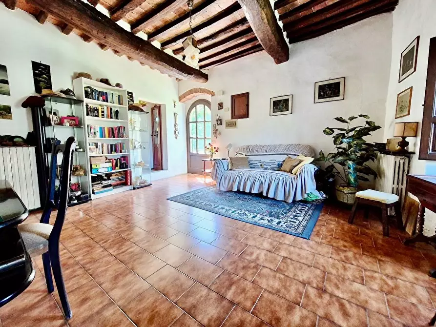 Immagine 32 di Rustico / casale in vendita  a Calci