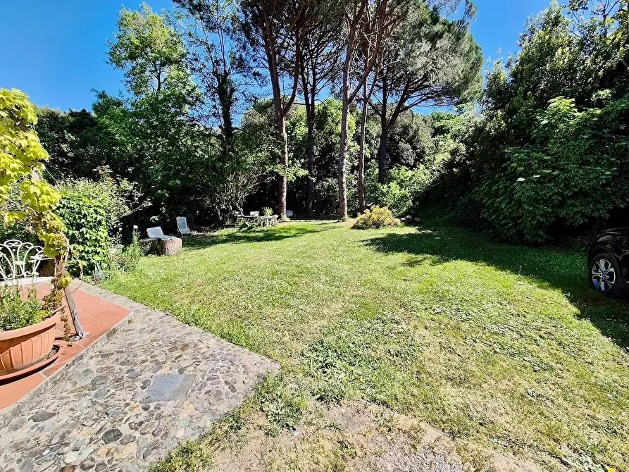 Immagine 50 di Rustico / casale in vendita  a Calci