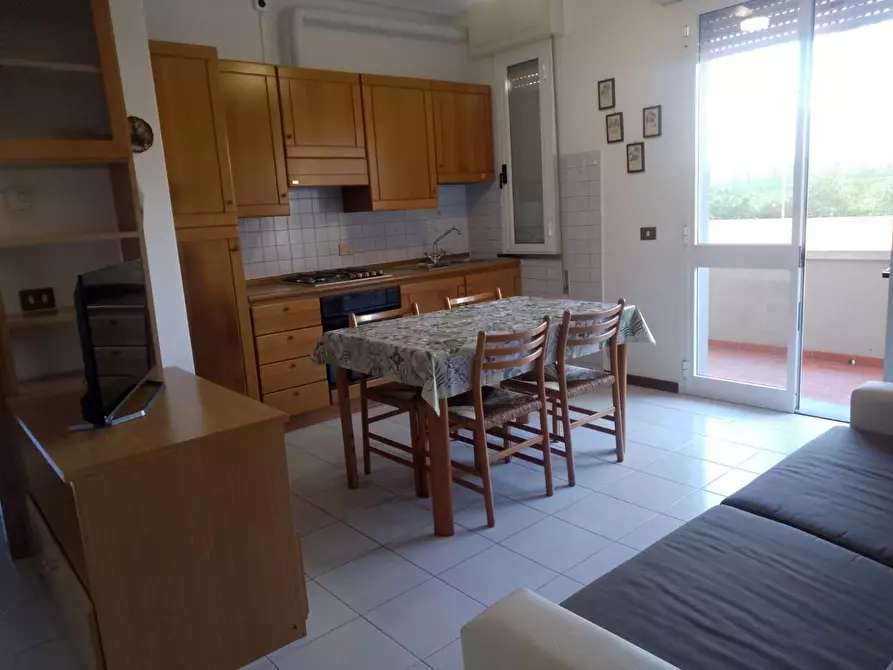 Immagine 1 di Appartamento in affitto  a Camaiore